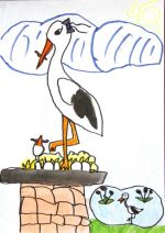 Bogdány Barbara.jpg